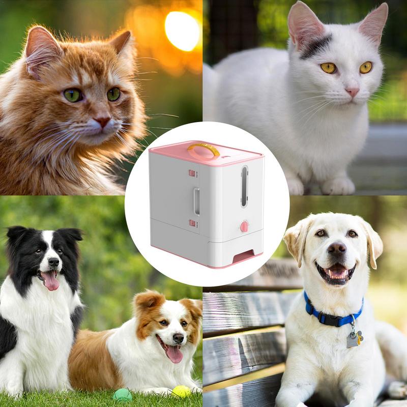 Pet Feeder Box Feeding Bowl Ca - Food Storage Food Safety ulasan dan harga