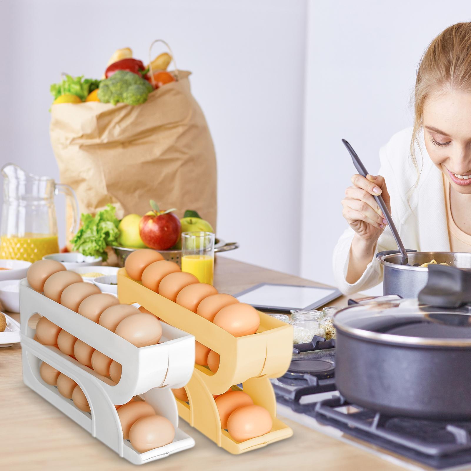 Egg Dispenser for Refrigerator - Food Storage Dispenser ulasan dan harga