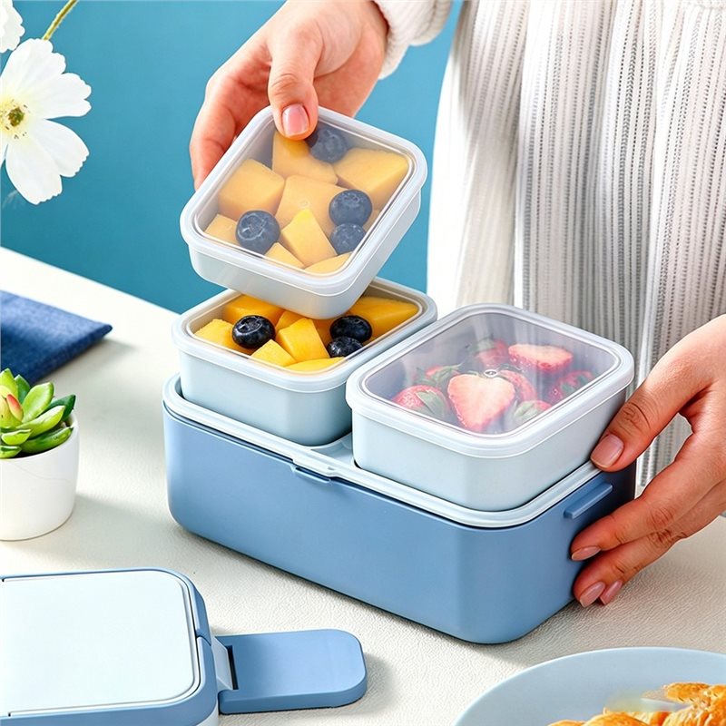 [NEW!A08R】 Picnic Lunch Box Ch - Food Storage News ulasan dan harga