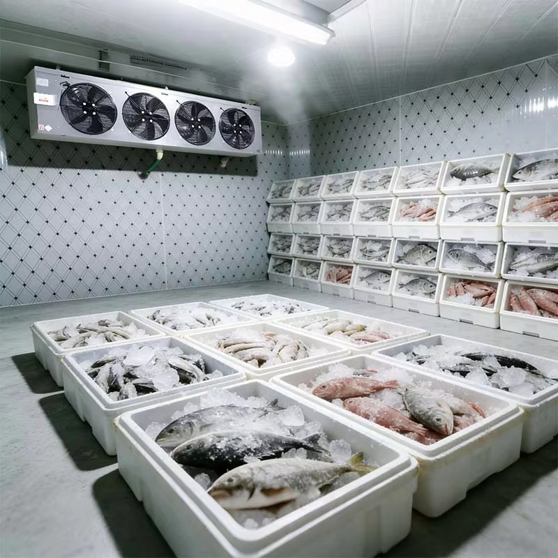 Customized Food Grade Cold Sto - Food Storage Food Safety ulasan dan harga